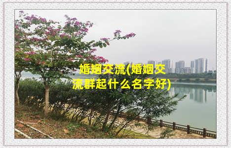 婚姻交流(婚姻交流群起什么名字好)