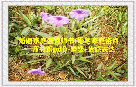 婚姻家庭咨询师书(婚姻家庭咨询师书籍pdf)-婚姻-情感表达