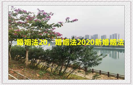 婚姻法20，婚姻法2020新婚姻法