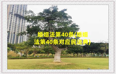 婚姻法第40条(婚姻法第40条对应民法典)