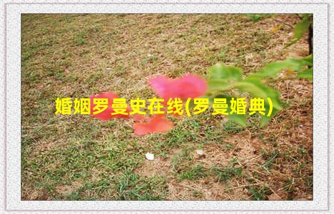 婚姻罗曼史在线(罗曼婚典)