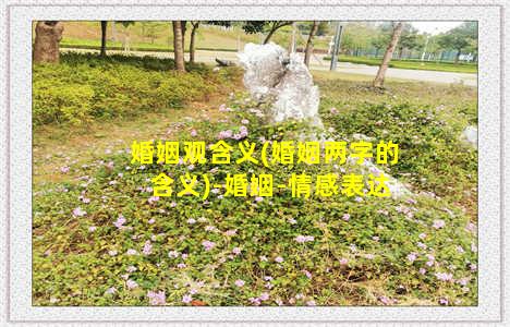 婚姻观含义(婚姻两字的含义)-婚姻-情感表达