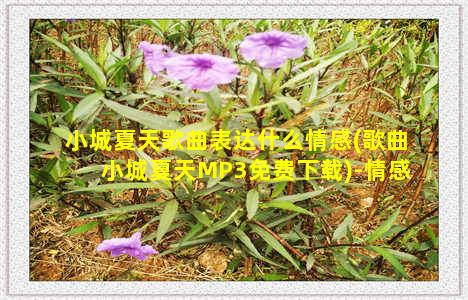 小城夏天歌曲表达什么情感(歌曲小城夏天MP3免费下载)-情感表达-情感表达