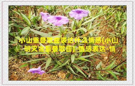 小山重叠歌曲表达什么情感(小山明灭金重叠歌曲)-情感表达-情感表达