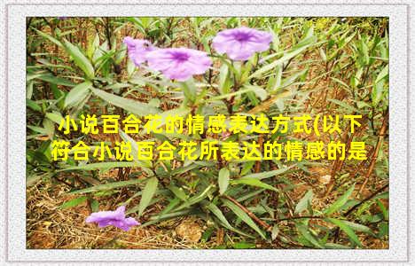 小说百合花的情感表达方式(以下符合小说百合花所表达的情感的是)-情感表达-情感表达