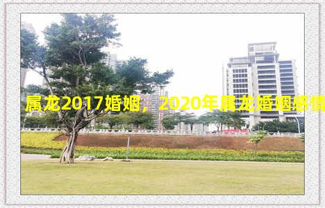 属龙2017婚姻，2020年属龙婚姻感情