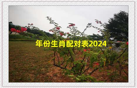 年份生肖配对表2024