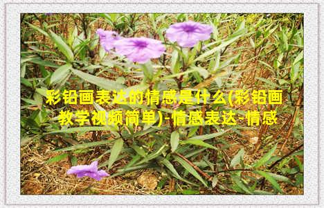 彩铅画表达的情感是什么(彩铅画教学视频简单)-情感表达-情感表达