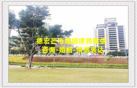 德宏芒市婚姻律师微信咨询-婚姻-情感表达