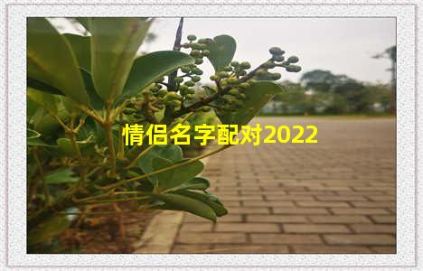 情侣名字配对2022