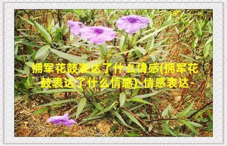 拥军花鼓表达了什么情感(拥军花鼓表达了什么情感)-情感表达-情感表达