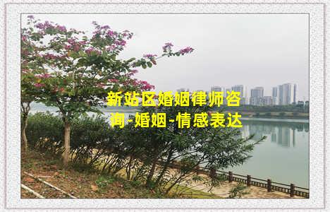 新站区婚姻律师咨询-婚姻-情感表达