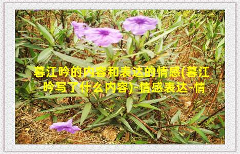 暮江吟的内容和表达的情感(暮江吟写了什么内容)-情感表达-情感表达