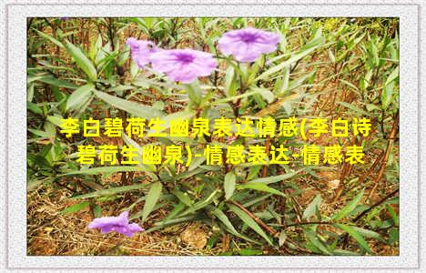 李白碧荷生幽泉表达情感(李白诗碧荷生幽泉)-情感表达-情感表达