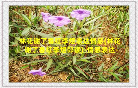 林花谢了春红李煜表达情感(林花谢了春红李煜郎读)-情感表达-情感表达