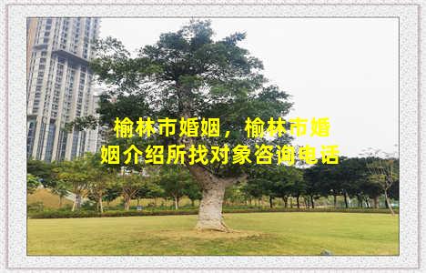 榆林市婚姻，榆林市婚姻介绍所找对象咨询电话