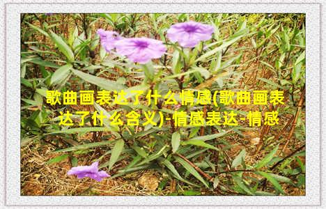 歌曲画表达了什么情感(歌曲画表达了什么含义)-情感表达-情感表达