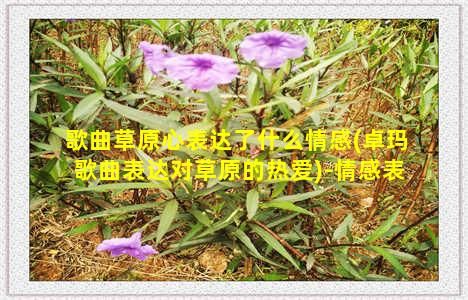 歌曲草原心表达了什么情感(卓玛歌曲表达对草原的热爱)-情感表达-情感表达