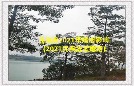 民法典2021年婚姻影响(2021民典法案婚姻)