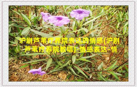 沪剧芦苇疗养院表达的情感(沪剧芦苇疗养院教唱)-情感表达-情感表达