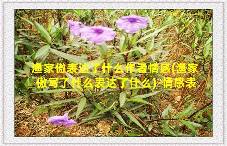 渔家傲表达了什么作者情感(渔家傲写了什么表达了什么)-情感表达-情感表达