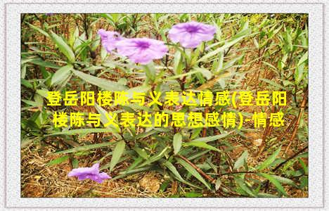 登岳阳楼陈与义表达情感(登岳阳楼陈与义表达的思想感情)-情感表达-情感表达