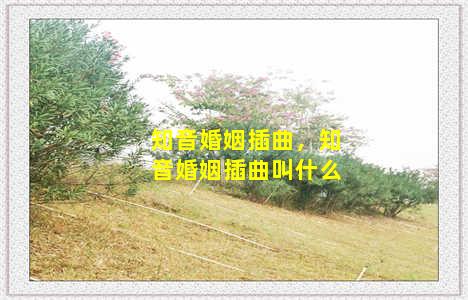 知音婚姻插曲，知音婚姻插曲叫什么