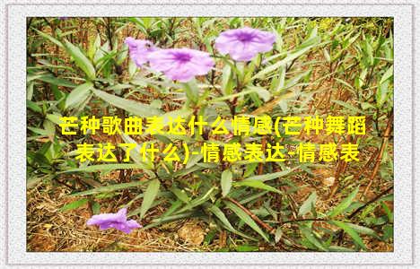 芒种歌曲表达什么情感(芒种舞蹈表达了什么)-情感表达-情感表达