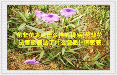 花非花表达什么样的情感(花非花这首歌表达了什么意思)-情感表达-情感表达