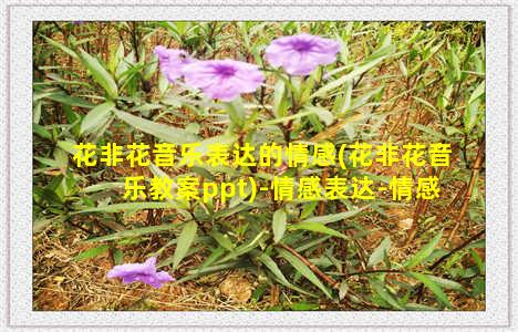 花非花音乐表达的情感(花非花音乐教案ppt)-情感表达-情感表达