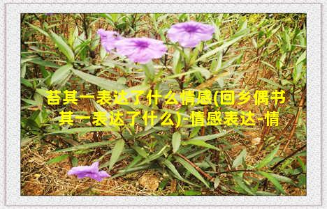 苔其一表达了什么情感(回乡偶书其一表达了什么)-情感表达-情感表达