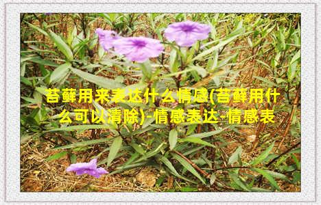 苔藓用来表达什么情感(苔藓用什么可以清除)-情感表达-情感表达