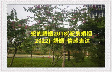 蛇的婚姻2018(蛇的婚姻2022)-婚姻-情感表达