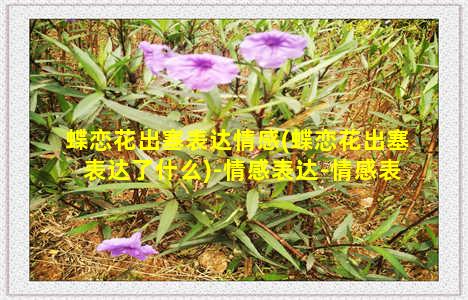 蝶恋花出塞表达情感(蝶恋花出塞表达了什么)-情感表达-情感表达