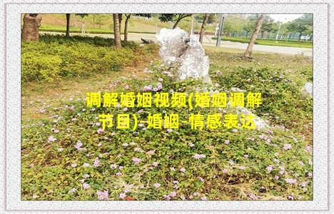 调解婚姻视频(婚姻调解节目)-婚姻-情感表达