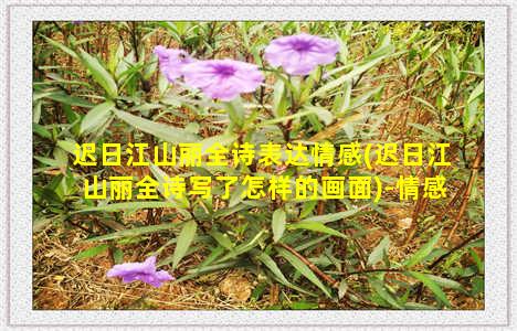 迟日江山丽全诗表达情感(迟日江山丽全诗写了怎样的画面)-情感表达-情感表达