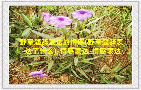 野草题辞表达的情感(野草题辞表达了什么)-情感表达-情感表达