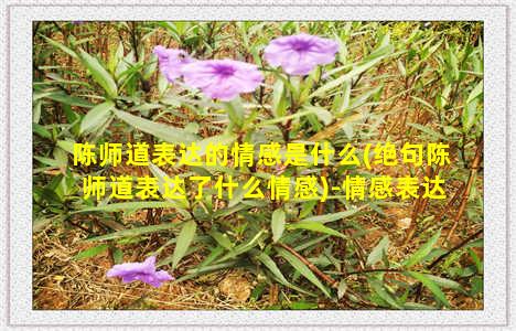 陈师道表达的情感是什么(绝句陈师道表达了什么情感)-情感表达-情感表达