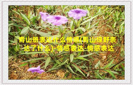 青山册表达什么情感(青山绿野表达了什么)-情感表达-情感表达